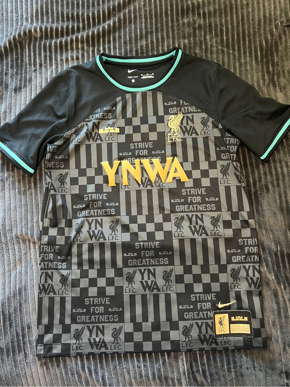 Nike Kids' Liverpool FC Black & Teal YNWA Graphic Jersey